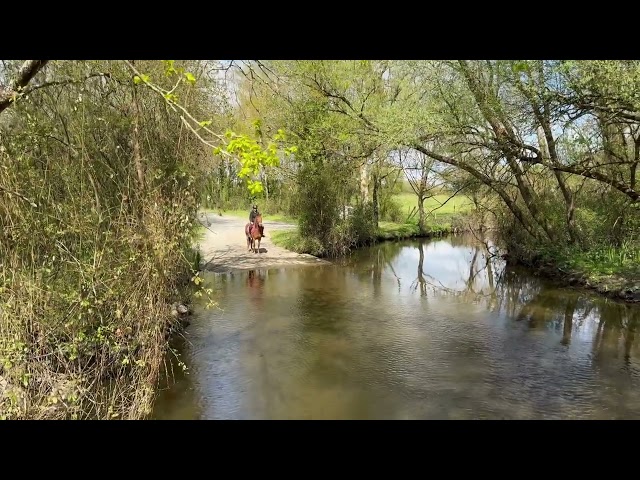 Ponette D PP 5 ans loisir/sport