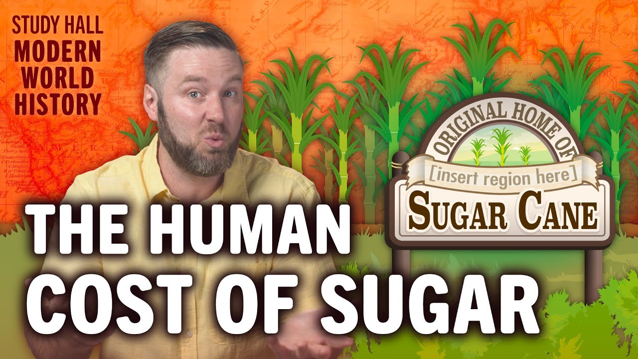Bitter History: Sugar and Slavery | Modern World History 12 of 30 | Study Hall