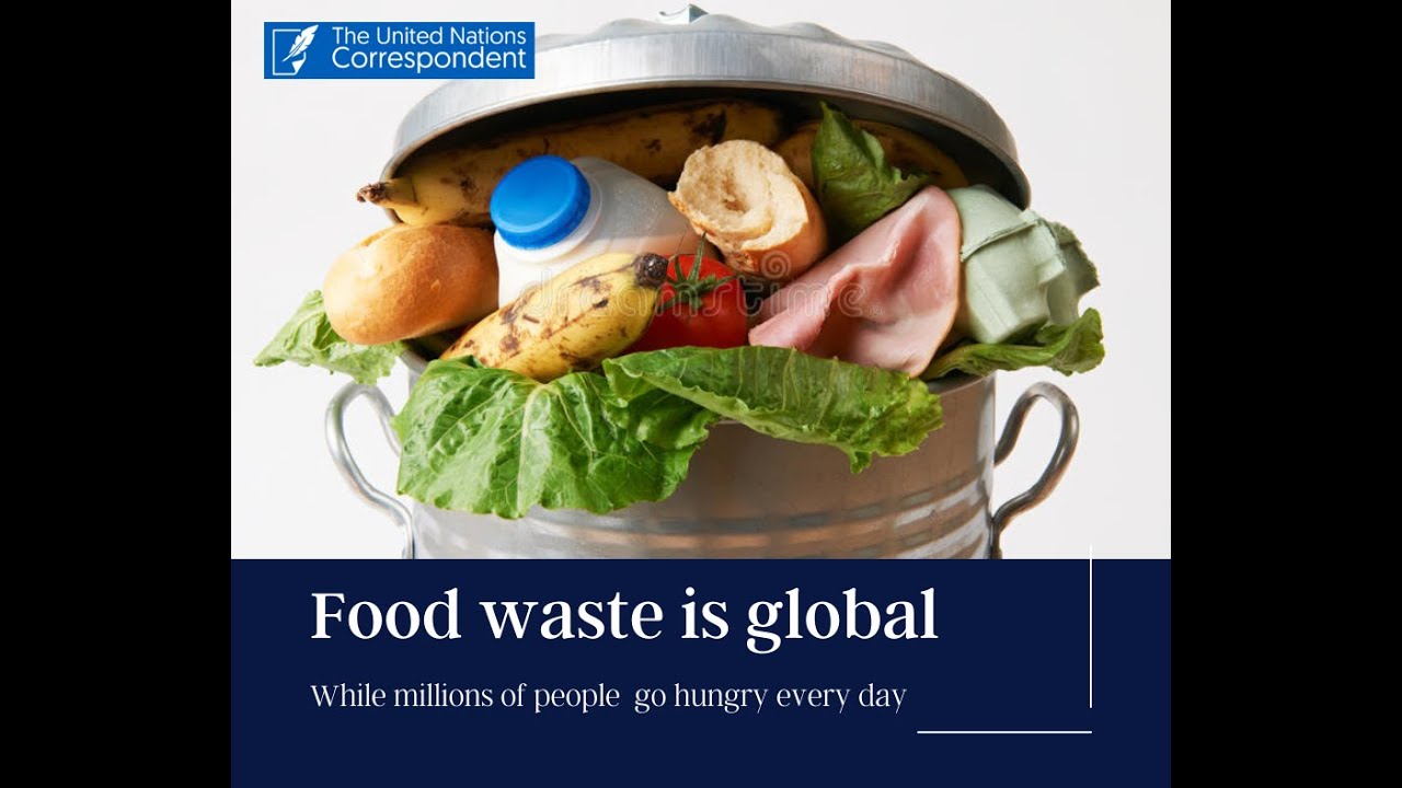 Food waste is global while millions of people go hungry every day