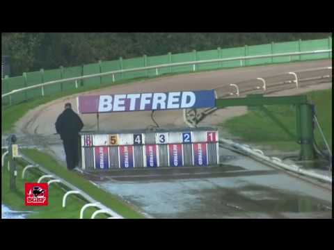 The BGBF/Nottingham British Breeders Stakes - 1st Semi Final -  King Sheeran