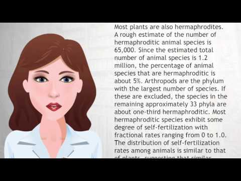 Hermaphrodite Biology Made Simple