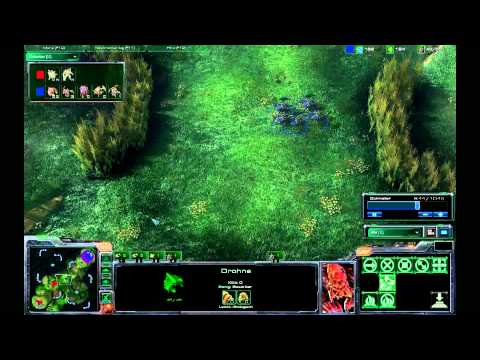 SC2 HuK's BestOffCollection HuKP vs mTwDIMAGAZ German Replay Shoutcast Steps of War