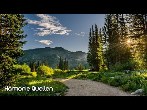 Meditation Geduld | Geführte Meditation