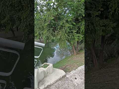 Explorando Córdoba Argentina 10, Parque Sarmiento 2 #cordoba  #argentina #travel #turismo #rio