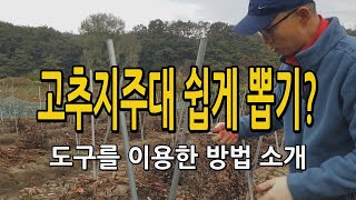 고추밭정리 고추지주대 쉽게 뽑는 도구는? 직접 비교해서 어떤것이 더 좋은지 알아봅니다.