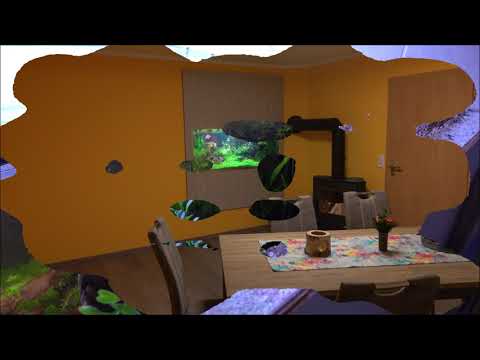 Filterloses Aquarium nach 5 Monaten Teil 7 ( Bernstadtbilder)