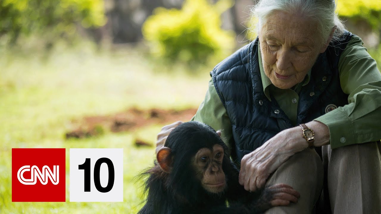 The woman who revolutionized our understanding of animals | October 3, 2025