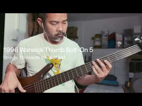 Thomastik infeld JF345: Fender AM STD P 5 vs. Warwick Thumb Bo 5