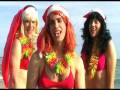 Mele Kalikimaka (Bette Midler cover by LOVE AND ...