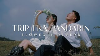 Download lagu Trip Eka Pandarin | Slowed & Reverb mp3