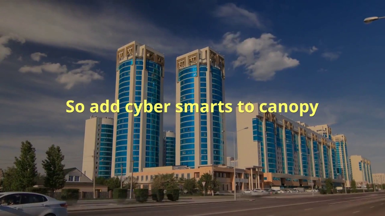 Canopy vSOC Service Overview