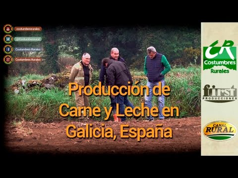 , title : 'Producción de Carne y Leche en Galicia, España / CIAM / Vaca Rubia - Costumbres Rurales 567'