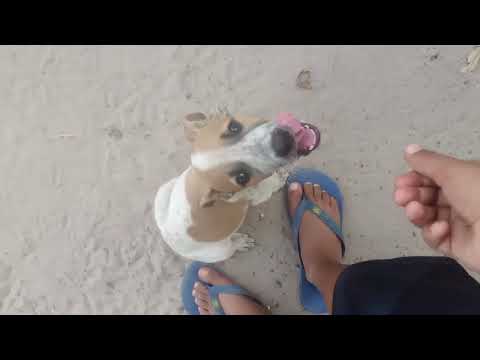 Mostrando o interior em São Miguel do tapuio pi