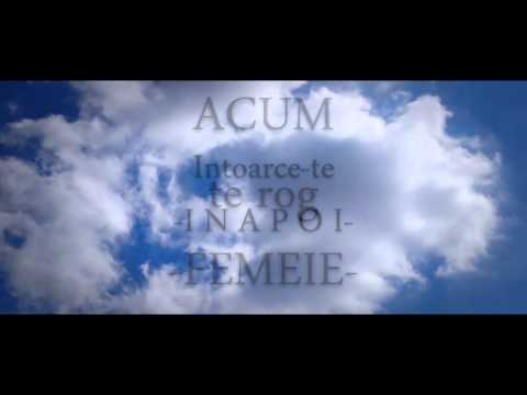 DMC - Nu ai idee (Lyrics VIDEO)