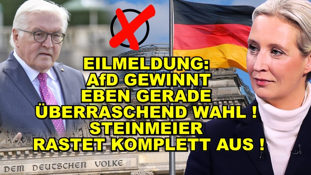 EIL: AfD GEWINNT WAHL! Steinmeier TOBT!