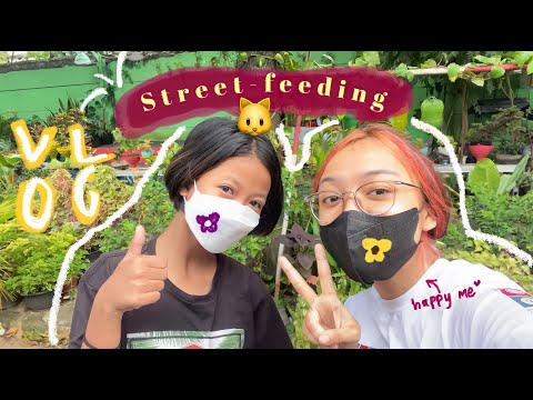 daily vlog: first time street feeding 🐱 (indo-eng)