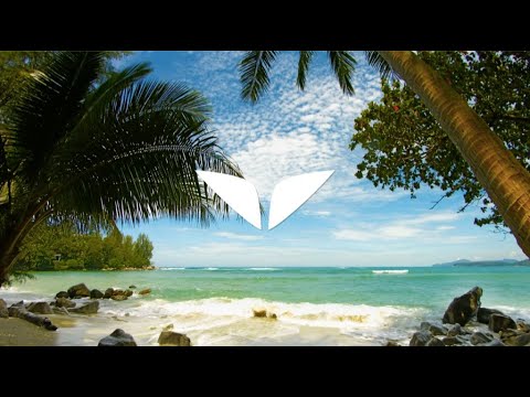 浜辺でリラックスし、黙想して下さい｜Mindvalley の黙想 (Relax And Meditate On The Beach | Mindvalley Meditation)