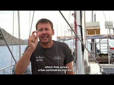 Lockdown & Biodiversity Expedition - EP9