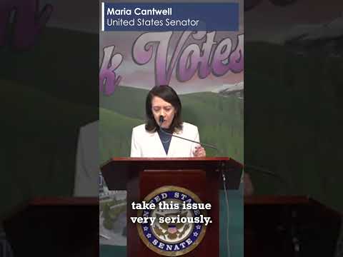 We%20don%27t%20have%20widespread%20election%20fraud%2E