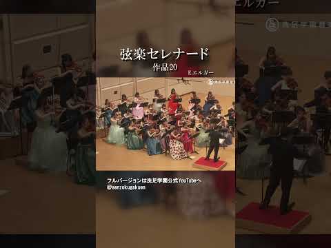 弦楽セレナード 作品20