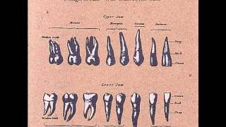 3 Stages Of Pain - Hell Driver