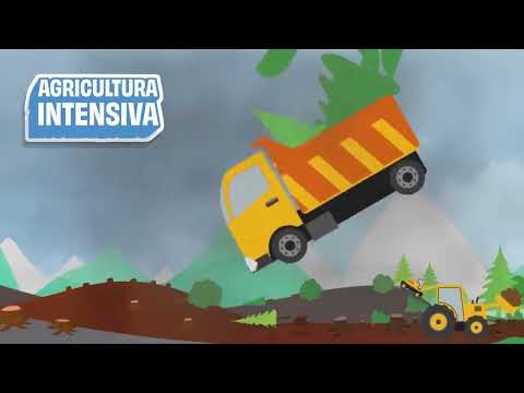 ODS N° 15 Ecosistemas terrestres