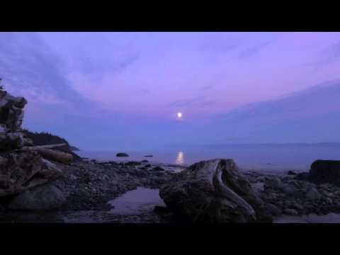 Take Me By Surprise video