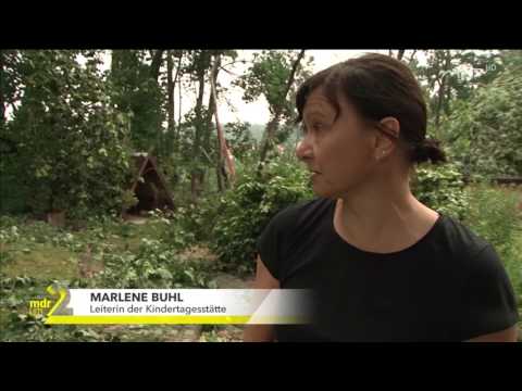 Sturmschäden in Sachsen