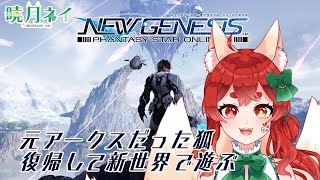 【PSO2NGS】元アークス狐新ワールドいく！！