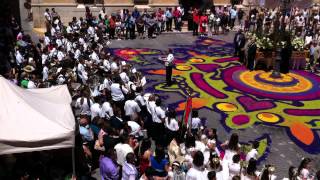 preview picture of video 'ALFOMBRAS DE SERRÍN = ELCHE DE LA SIERRA 2012 - 6'