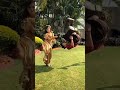 Aladdin Yasmine Shorts Viral Aladdin