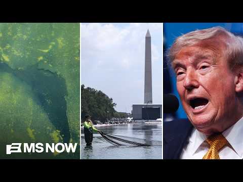 How Trump's ridiculous reflecting pool train wreck spun out of control