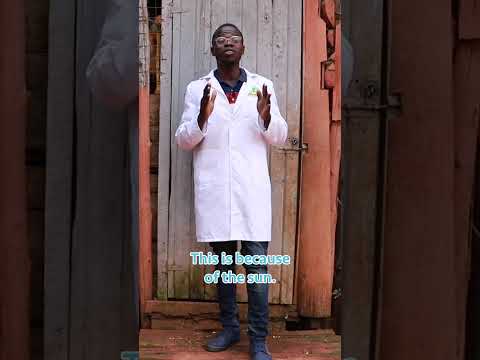 Broiler Chicken Farming broilerchicken poultryfarming chicken poultrymanagement