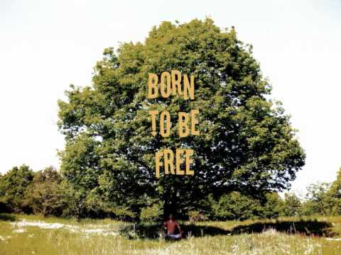 Collieman - Born to be free (Cry Holy Riddim) - Collieman Music 2010