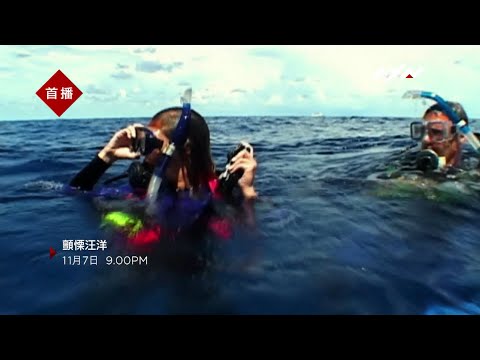 AXN《顫慄汪洋》11/7(日) 晚間 9 點 播出