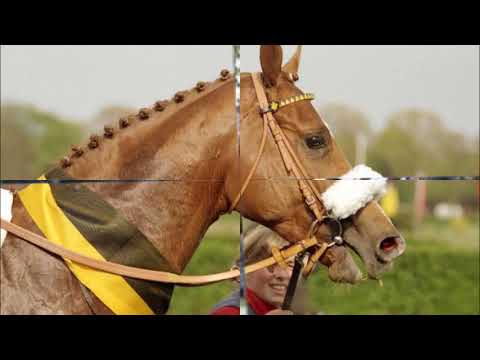 Lomitas- Chempion Niemiec