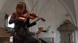 Violinshow - Klassik bis Charts