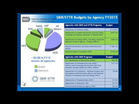 NIH SBIR Progam