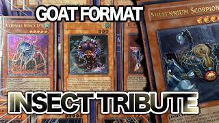 Insect Infestation! YuGiOh 2005 Environment Deck Profile