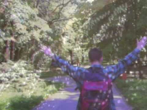 Libertate te iubim, Cristi Paturca, versuri si muzica Stelian Maria