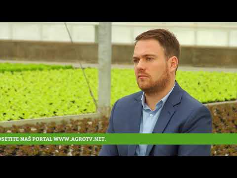 Reč struke ep. 125 02.11.2017. - Proizvodnja zelene salate
