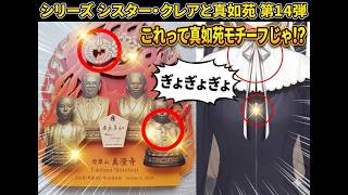 シリーズ シスター・クレアと真如苑 第14弾 ぎょぎょぎょ これって真如苑モチーフじゃ!?