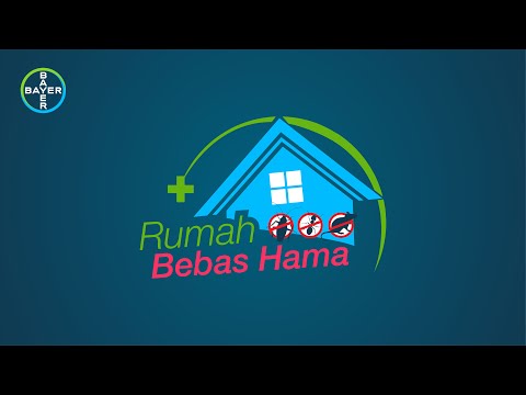 Racun Tikus Kecoa Semut paling Ampuh