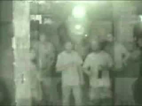 Volfoniq live @ D.O.V. festival (2)