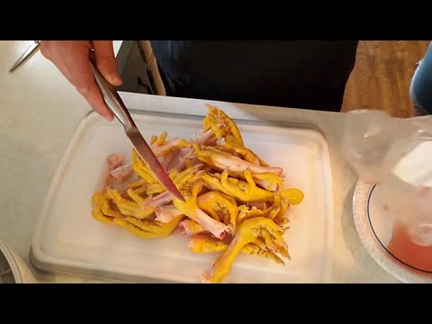 download lagu mp3 mp4 Chicken Feet For Dogs Recipe, download lagu Chicken Feet For Dogs Recipe gratis, unduh video klip Chicken Feet For Dogs Recipe