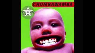 Chumbawamba - The Good Ship Lifestyle