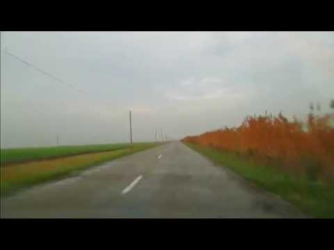 DJ593 Giulvăz - Peciu Nou