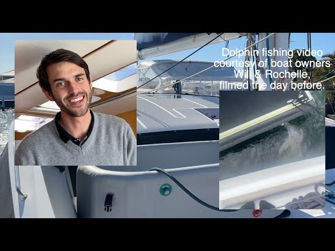 Privilege 51 5 Catamaran Power Upgrade with bonus appearance by Dolphin Fishing
