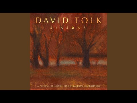 Beneath the Starry Night