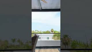 Rachel Brockman Hot New Bikini TikTok